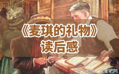 钻石王老五的艰难爱情读后感1000字