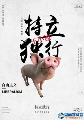 王小波散文读后感100字