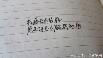微凉暖意句子大全