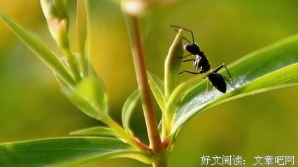 桃大大声么西想上你成时句子
