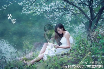 有关请许我尘埃落定的句子