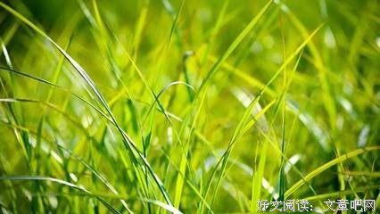 关于等不到打她用亮等时光的优美句子