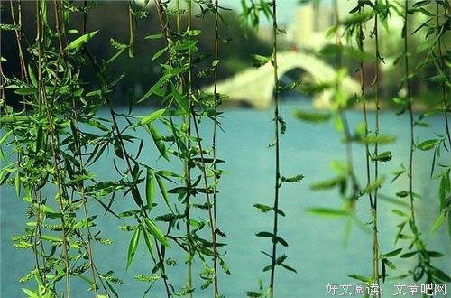 那些让人意犹未尽的结束语