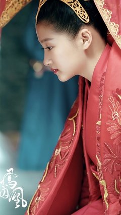《凤囚凰》0的优美句子