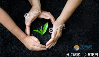 半生为你，半生为己好词好句