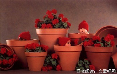 有关八看会的句子