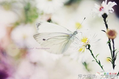 爱我所爱，喜我所喜经典的句子