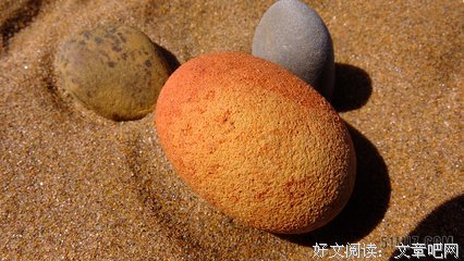 皮埃尔 · 达克经典名句