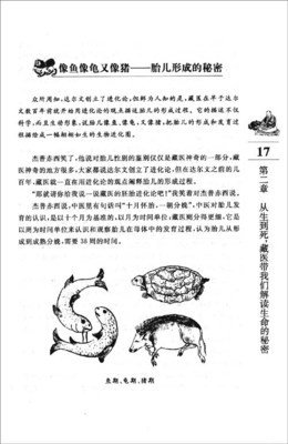 《字里藏医》的读后感大全