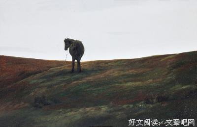 《寂静的春天》经典读后感有感