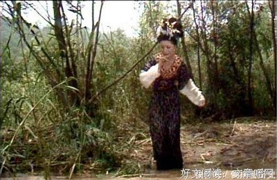 《自杀作为中国问题》的读后感大全