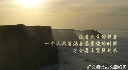 人生的艺术读后感摘抄