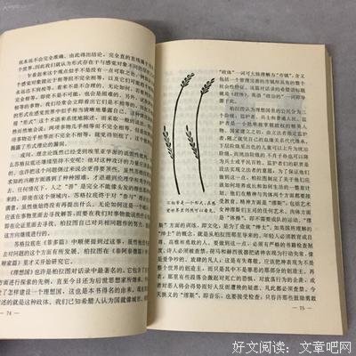 西方的智慧读后感100字