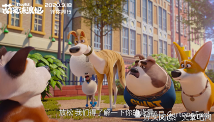 《萌宠流浪记》观后感摘抄