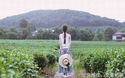 《【NHK特别篇】7位一起生活的单身女人》影评摘抄