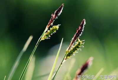 关于淡泊名利名言名句