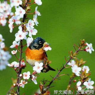 关于墨染流年婳心殇的句子