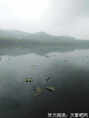 诗酒趁年华