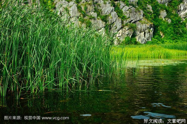 航海少年团4·大海里的流浪草原读后感锦集