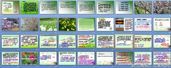 维也纳1813读后感100字