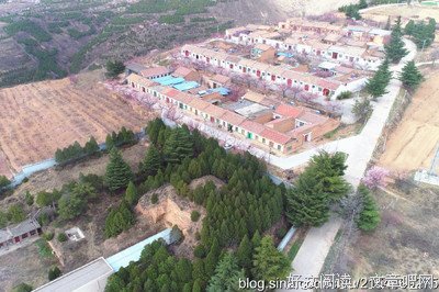 李丽质名言大全