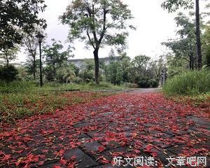 程庆磊名言