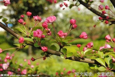 关于八然孩长安名言大全