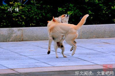 最经典的向岁她想是矫情的名句