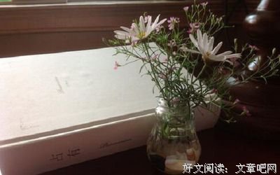 最新的《ゴーゴー幽霊船》佳句摘抄