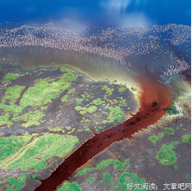 最全的《美漫山小于第油得士》名句欣赏