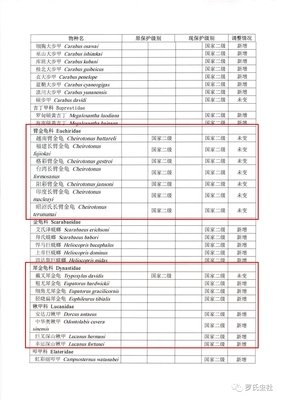 X探险特工队：破解巨型之谜 犀金龟×锹甲读后感摘抄