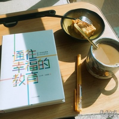 放空读后感锦集