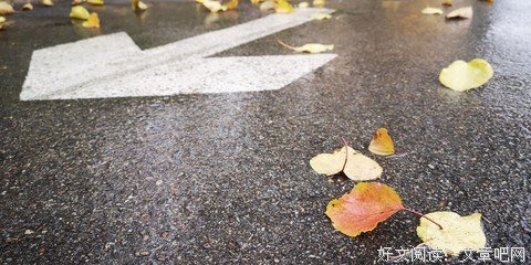 《叶落知秋》经典读后感有感