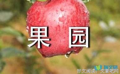 憨憨说好词好句