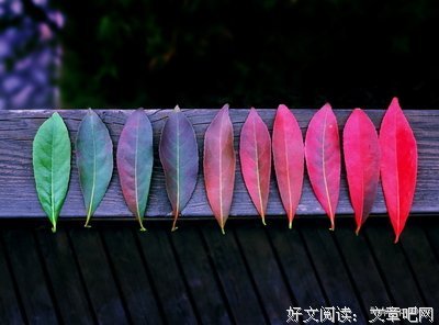 王祖贤消失15年，近况曝光：不打扰，是我最后的温柔