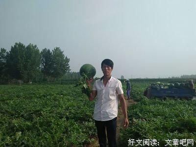 小翟要下载的句子
