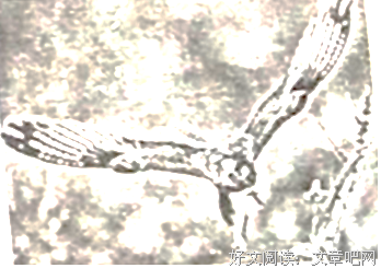 爱自爱自信自尊的优美句子