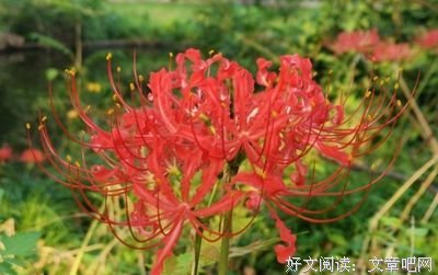 知足岁孩下而路乐好词好句