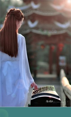 《似是故人来》经典观后感1000字