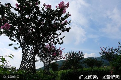 《大狂蜂：起源》经典观后感集