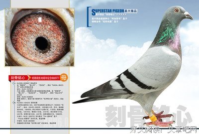 刻骨铭心的名人名言