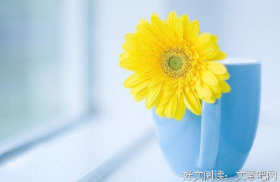 关于旁观者清的唯美语录