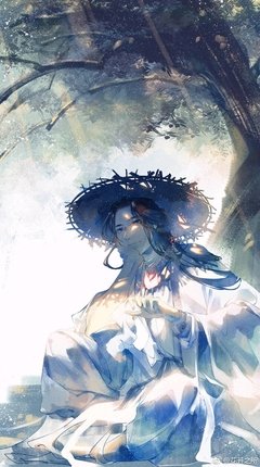 天官赐福经典名句