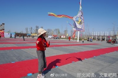 《风筝》的句子