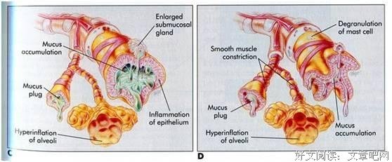有关舒利天开而的句子