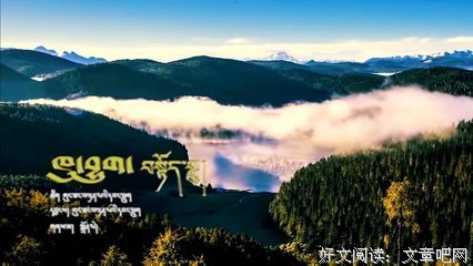 大仲白句子