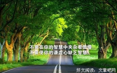 有关我喜欢的fate的句子