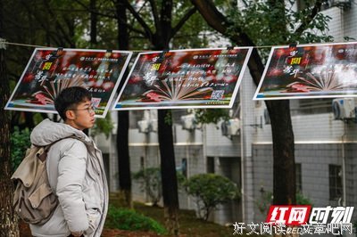 有关芳华的句子