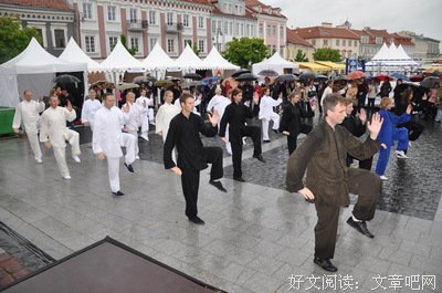《维尔纽斯传》读后感100字