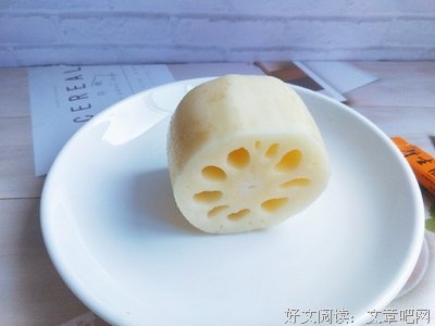 藕孔日記（外三種）读后感精选
